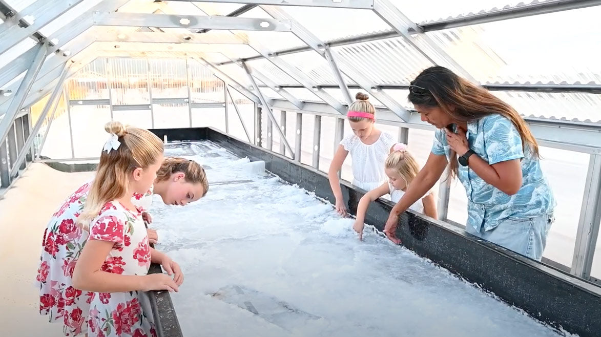Adventure Family Journal Salt Farm Visit