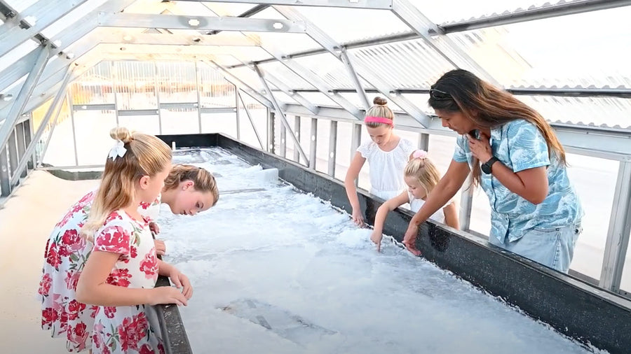 Adventure Family Journal Salt Farm Visit
