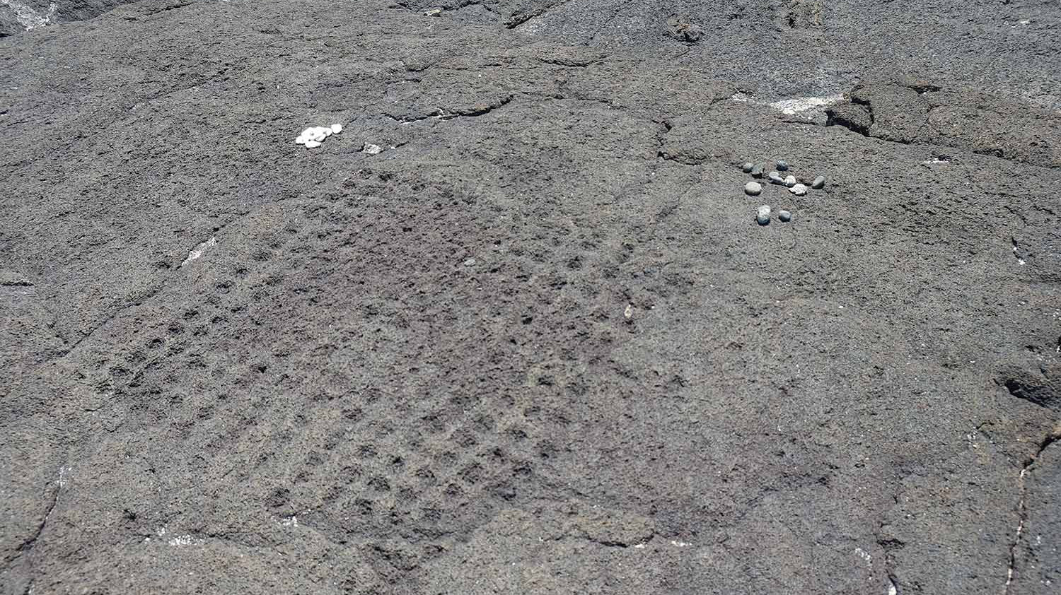 Ancient Hawaiian Game Konane