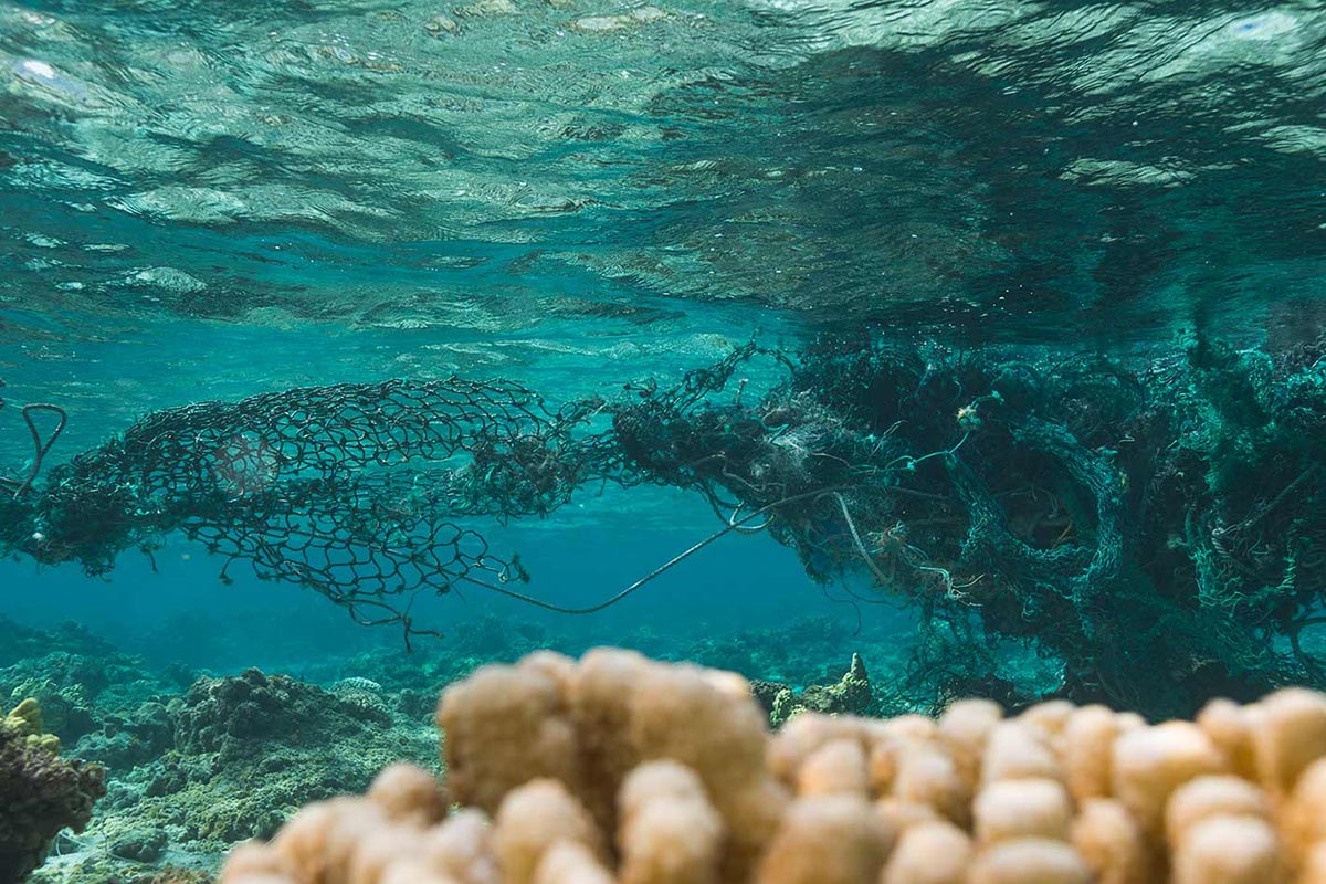 We give 1% back toward removing marine debris from the ocean