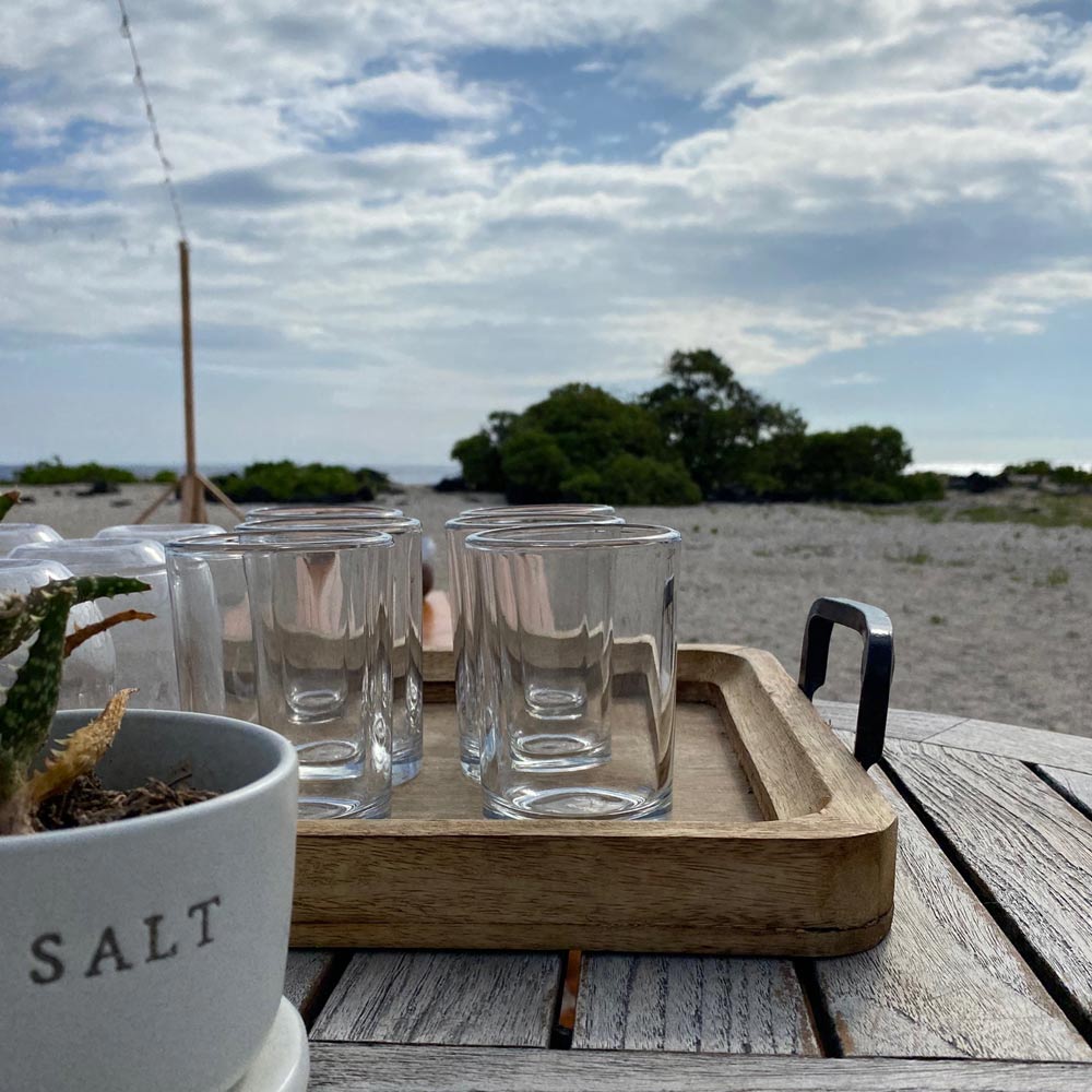 Tray of drink glasses