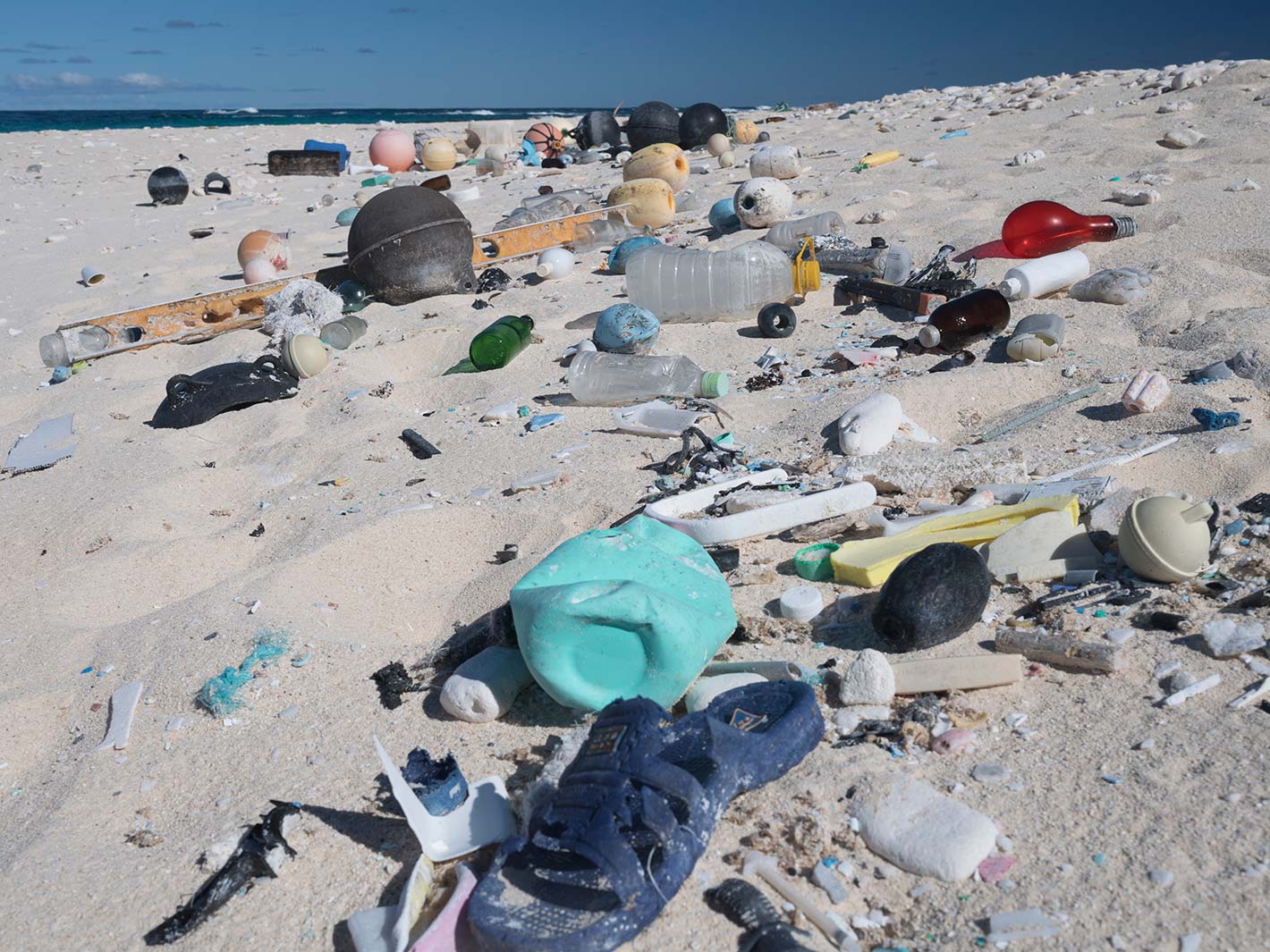 Pacific Ocean Marine Debris