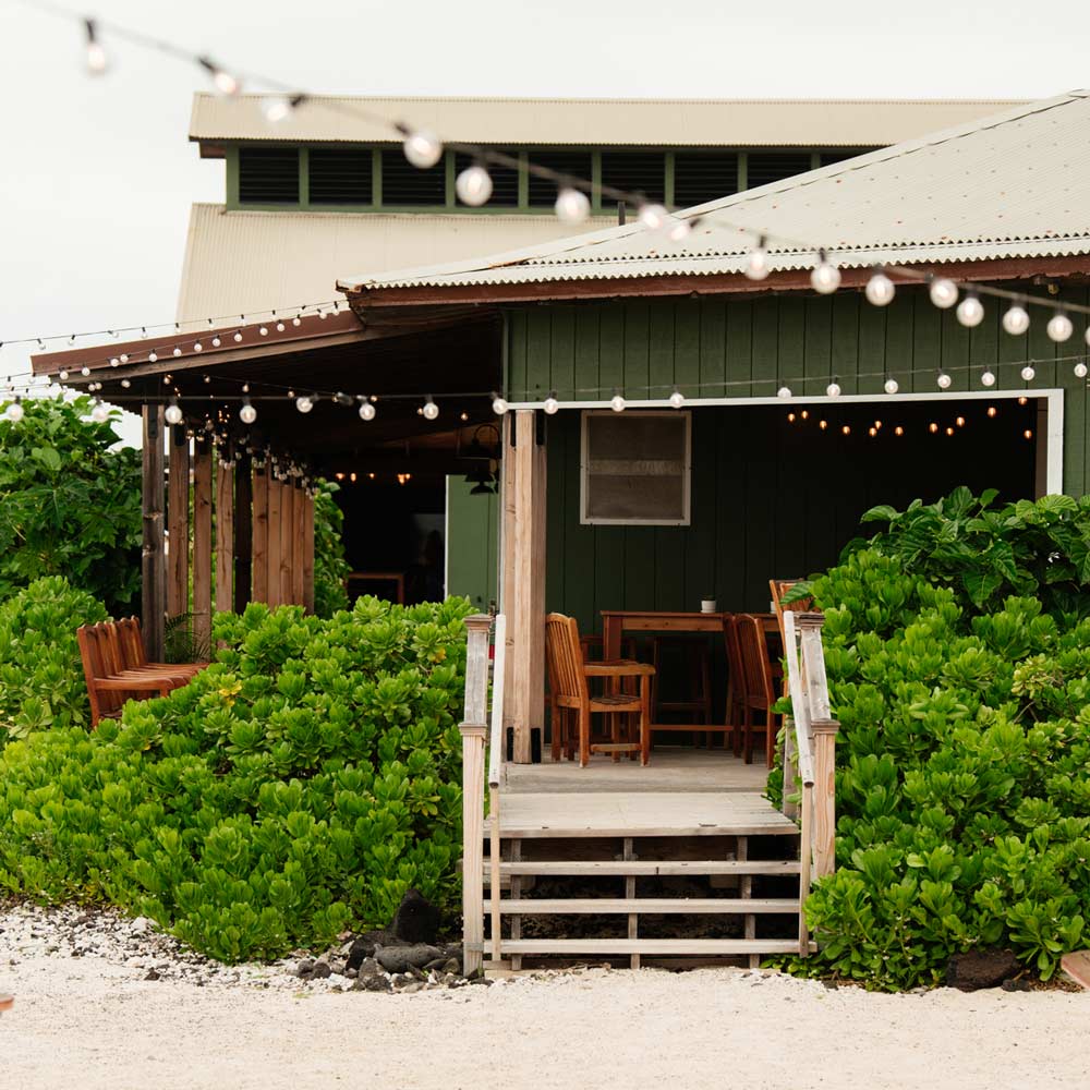 Green Salt Farm Building with String Lights