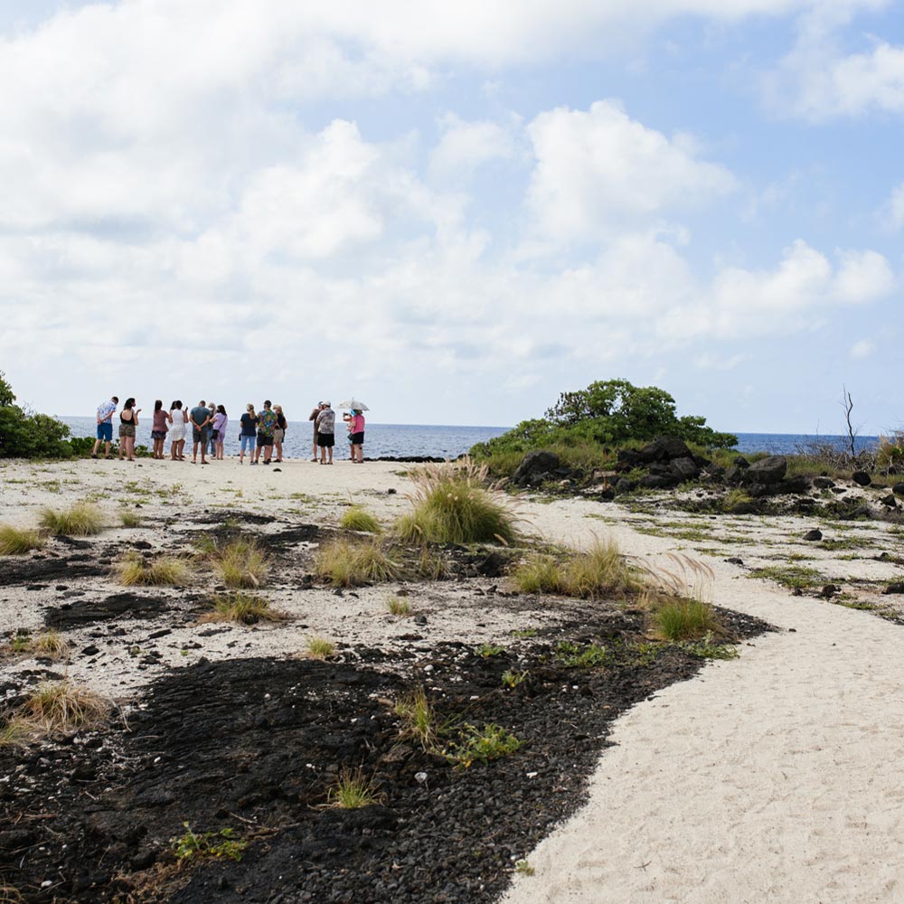 Salt Tour Along Coastline