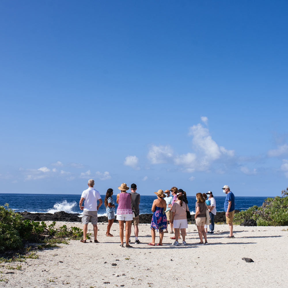 Tour Group Observing Coastline