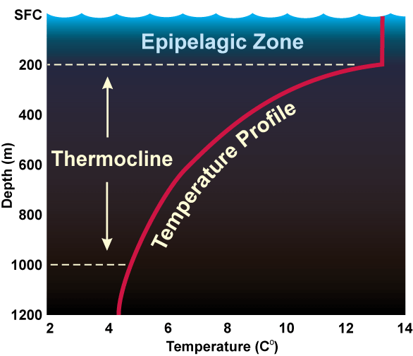 Deep Ocedan Temperature Profile