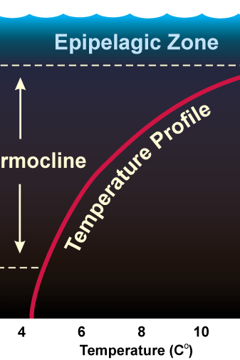 Deep Ocan Temperature Profile