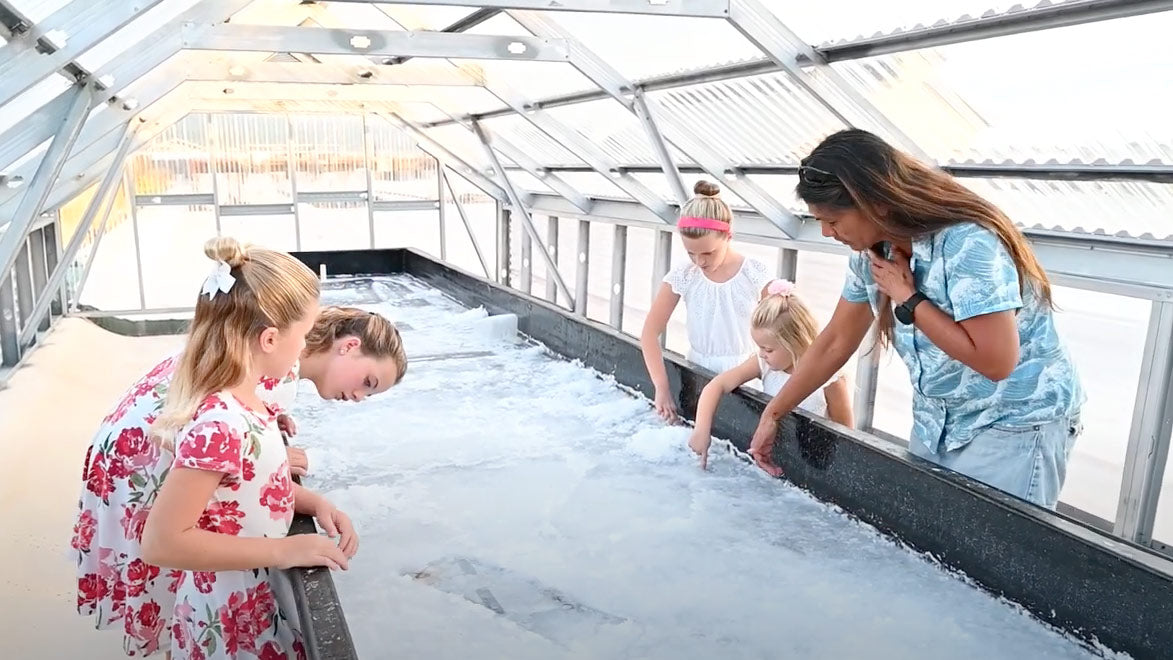 Adventure Family Journal Salt Farm Visit