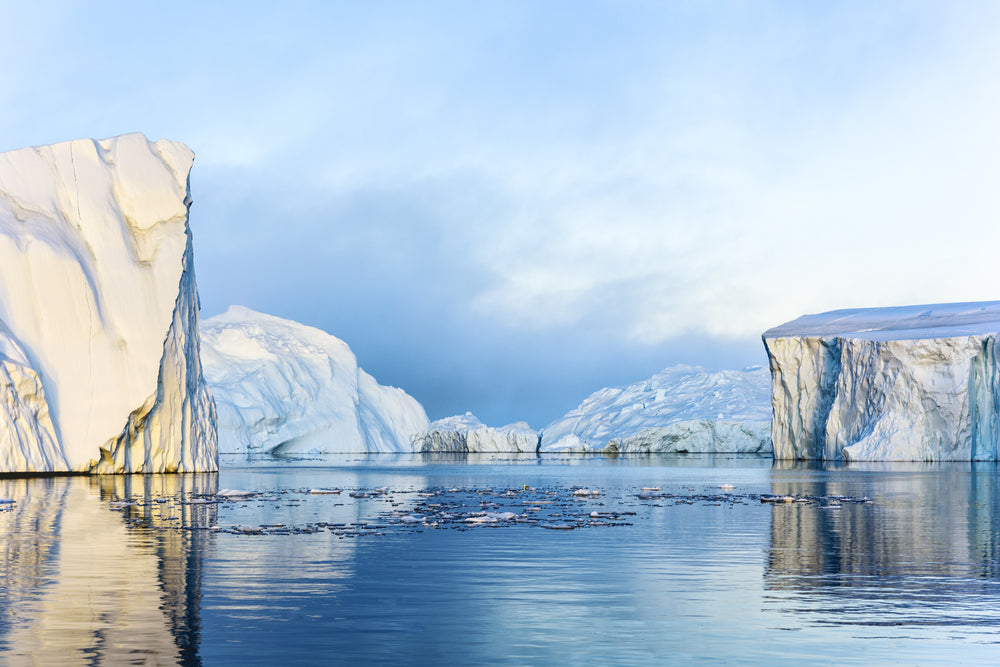 Greenland Icebergs