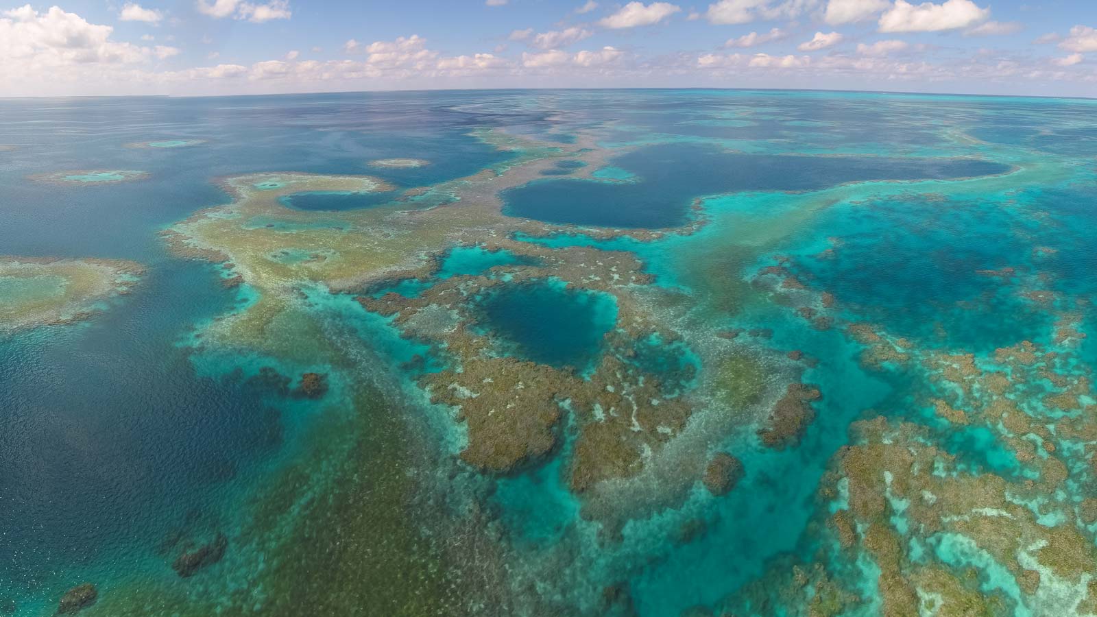 World Oceans Day: 20% Off