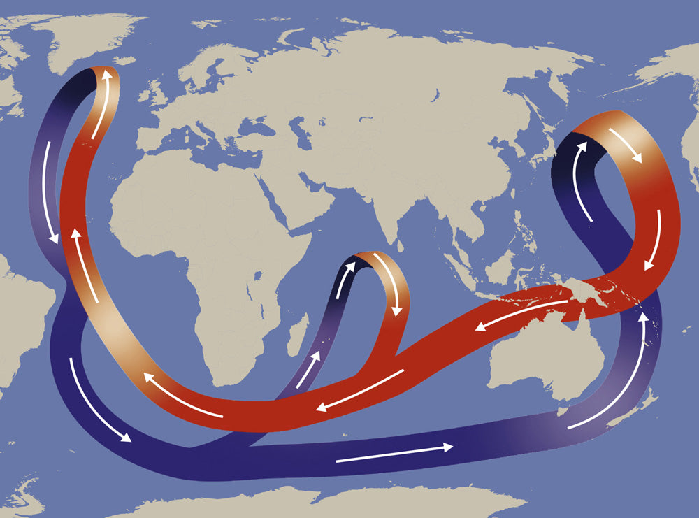 Ocean Currents